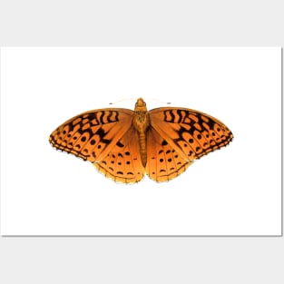 Great Spangled Fritillary Posters and Art